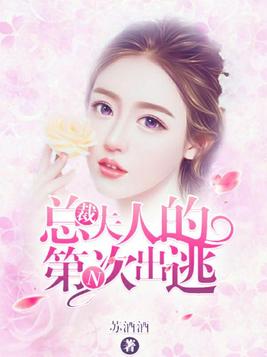 总裁夫人的第N次出逃