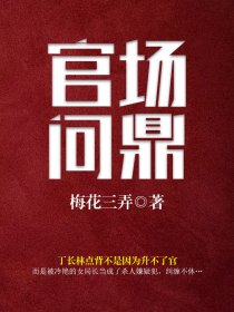 内部游戏(又名《官场问鼎》) 第1章