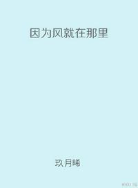 因为风就在那里书包网