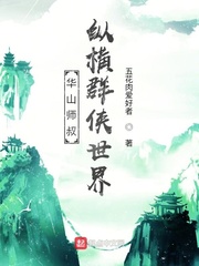 华山师叔，纵横群侠世界