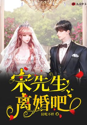 宋先生,离婚吧