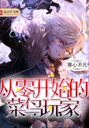 从零开始的菜鸟玩家