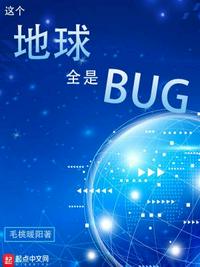 这个地球全是BUG李木